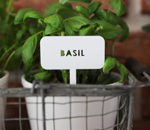 
                  
                    Personalised Plant Markers - White Acrylic
                  
                