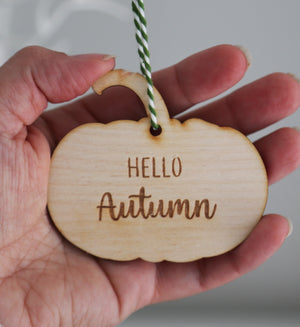 
                  
                    Hello Autumn Hanging Pumpkin
                  
                