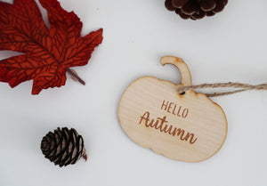 
                  
                    Hello Autumn Hanging Pumpkin
                  
                